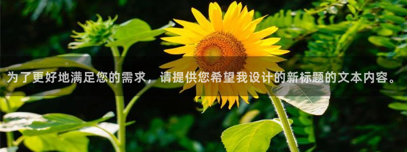 狼人狼人：为了更好地满足您的需求，请提供您希望我设计的新标题的文本内容。